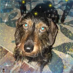 Meet your Posher, Avery